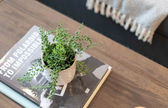 Bonaventure Furnished Apartments - Photo 45