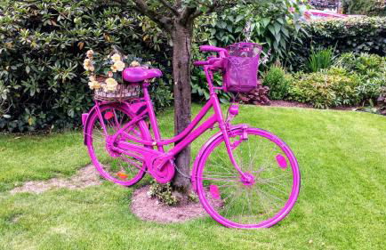 Mach mal Pause bei Geni & Bernd - Foto 39