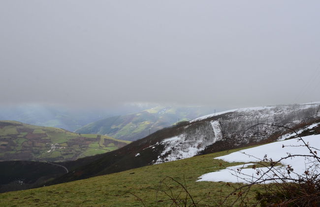 El Mirador De Limes - Photo 70