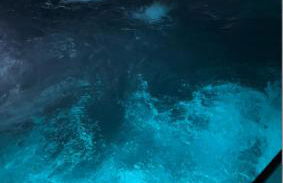 Flamingo del Guardamar - Foto 26