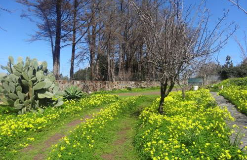 Casa Rural La Gustoza - Foto 41
