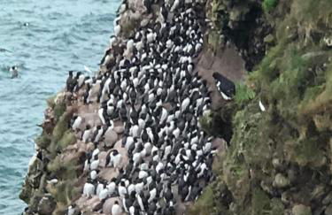 ARDUTHIE STREET - Foto 7