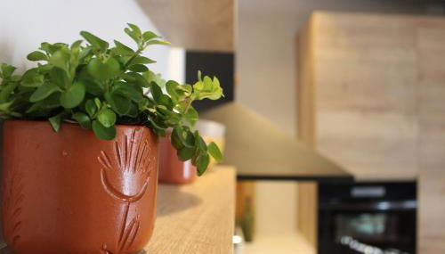 XIMENETXE Vivienda Turística - Foto 3