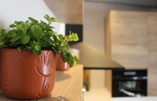 XIMENETXE Vivienda Turística - Foto 3