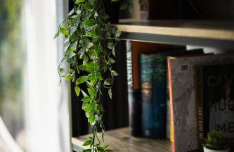 Home from home - Photo 23