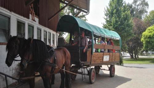 Reit- und Ferienhof Emstal - Foto 4