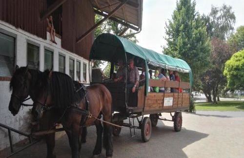 Reit- und Ferienhof Emstal - Foto 4
