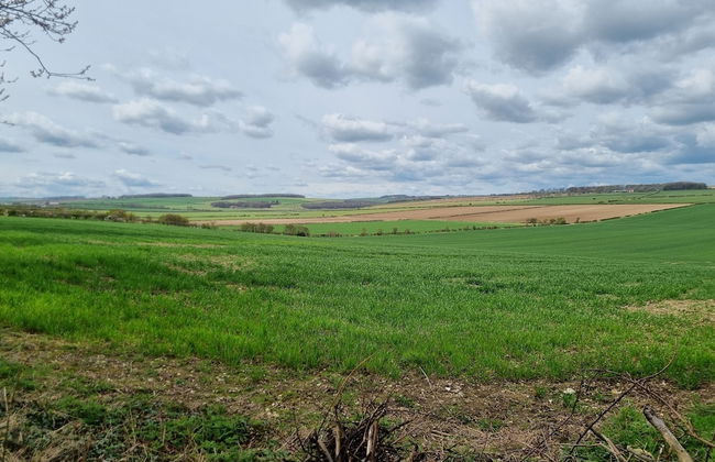 Gorgeous 1-bed Apartment in Wetwang, Driffield - Photo 24