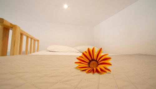 Antigone’s garden - Foto 3