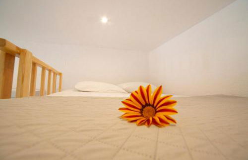 Antigone’s garden - Photo 3