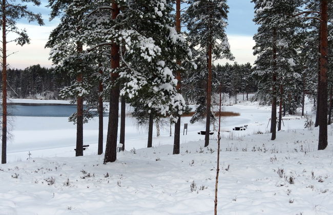 Joutsenlampi - Foto 24