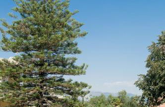 Dreamy Apartments Corfu - Foto 35