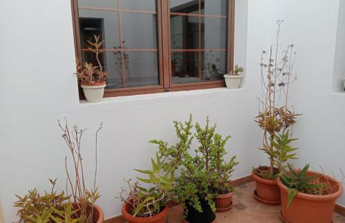 Casa Carmen Dolores - Foto 18