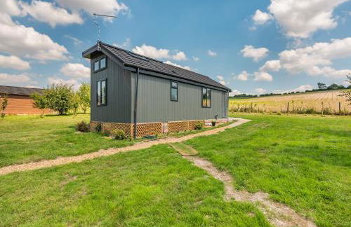 Cranbourne Chase Stargazer - Ukc6914 - Photo 11