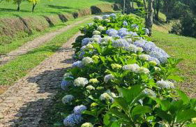 Chalés Boa Vista - Foto 59