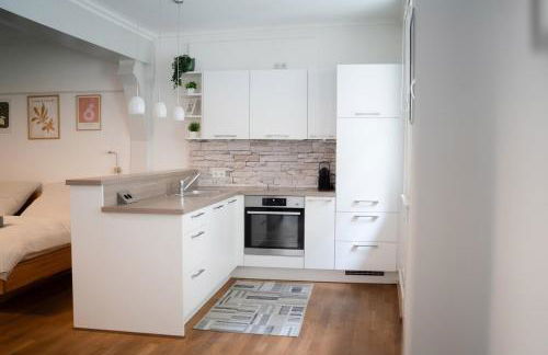 Altbautraum Esslingen Zentrum Studio 10 - Foto 13