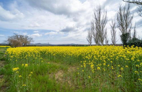 Masia Marco Grupos Grandes Piscina Barbacoa Aire Acondicionado - Photo 52