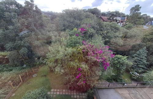 Monte Bianco - Foto 12