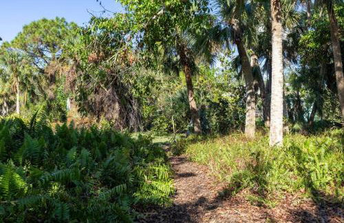 1mi to Beach Jungle Bungalow 1 acre with Pool - Foto 10