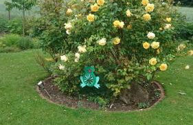 Ferienhaus am Ith - Foto 31