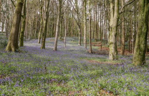 Old Stable - Foto 35