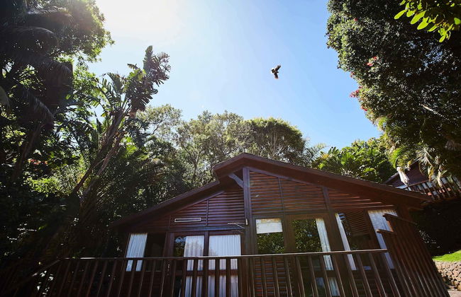 Under Milkwood Resort - Foto 9