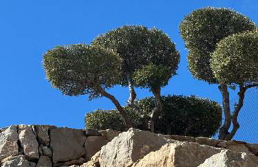Casa vistas al mar con piscina y barbacoa - Photo 12