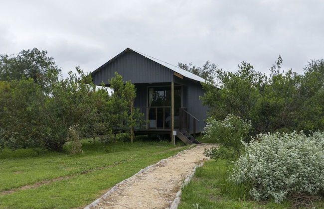 Sleep Whiskers Away From the Lions and " Feel " Them Roar! Cabin 4 - Foto 11