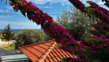 Southern Dreams Apartments - Foto 4