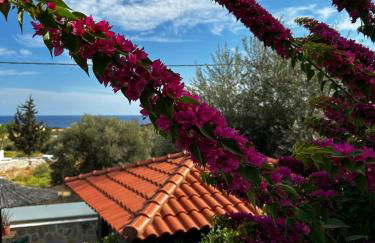 Southern Dreams Apartments - Foto 4