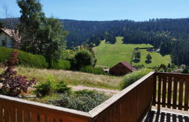 Grand Valtin : chalet écolo 4 étoiles 14 personnes - Foto 11