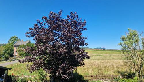 Ferienwohnung Flair - Foto 4