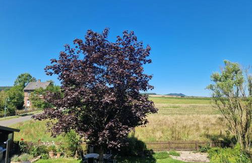 Ferienwohnung Flair - Foto 4