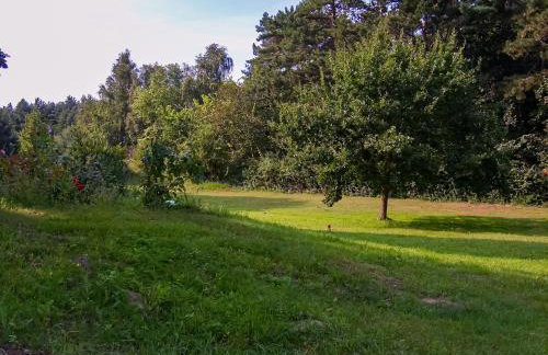 Ferienwohnung zwischen Wald und Strand - Foto 6