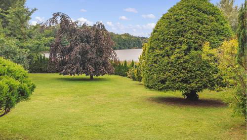 Ferienwohnung Wokuhl-Dabelow - Foto 2