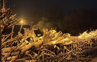 Frankenberg-am-Wald Frankenberg an der Eder - Foto 38