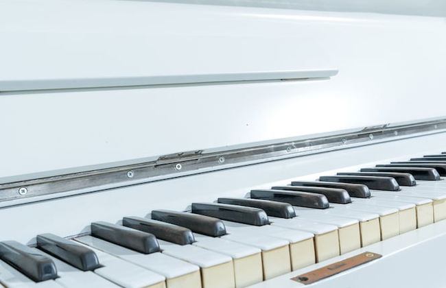 Serenity Bliss Villa - Foto 48