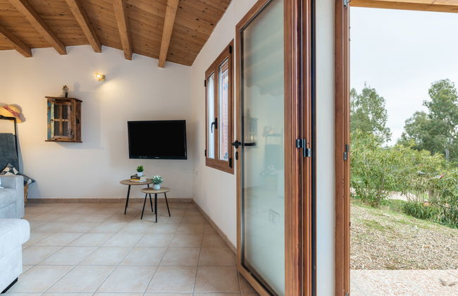 Eucalipto - Photo 10