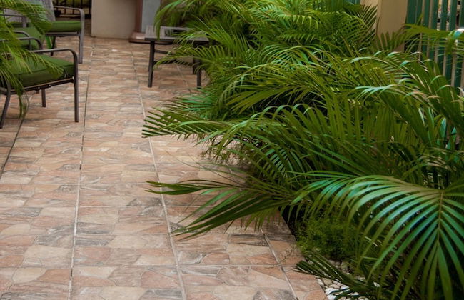 Wilderness Ramey Apartments - Photo 67