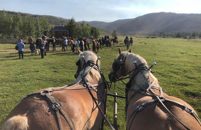 Vista Verde Ranch All-inclusive Cabin - Photo 23