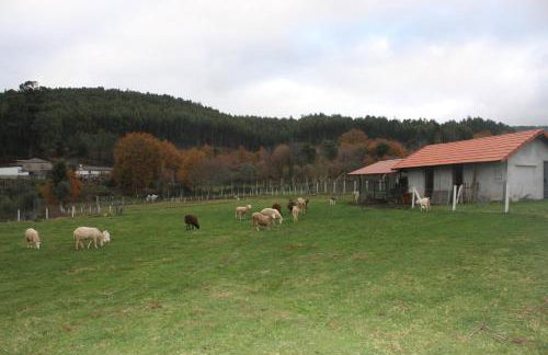 Casa do Lagar - Foto 23