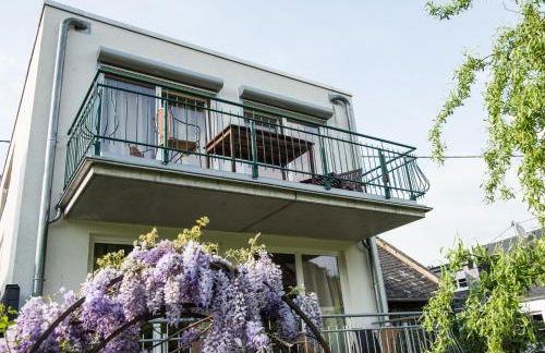 Ferienresidenz Brauneberger Hof an der Mosel nahe Bernkastel-Kues - Foto 52