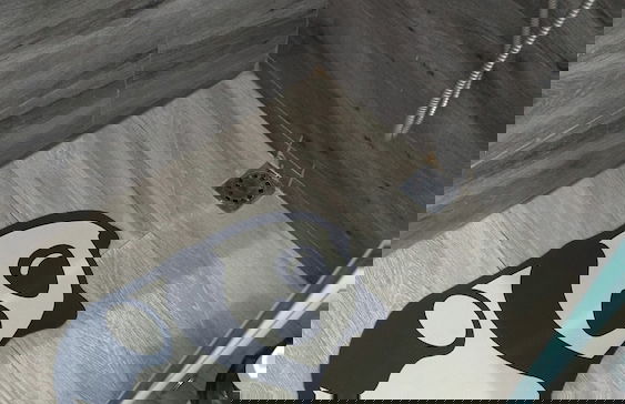 A 7 Minutos del Aeropuerto SDQ Apto. - Foto 13