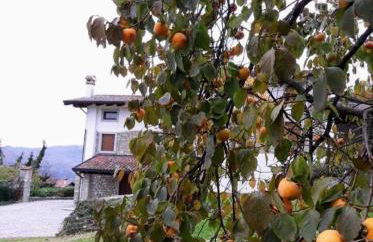 Casa della Meridiana - Photo 16