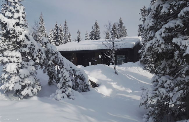 Rukantrio - Photo 70