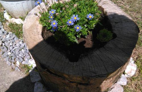 Apartman Duba - Foto 43