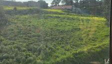 Playas salvajes y relax - Foto 3