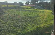 Playas salvajes y relax - Foto 3