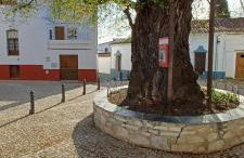 Casa Maricolilla - Foto 78