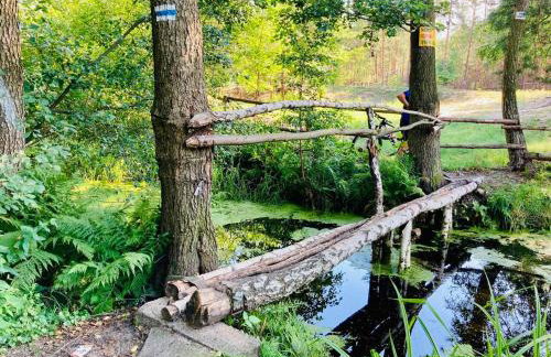 Uroczysko Lubiaszów - Foto 69